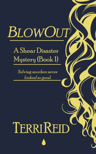 Book Cover: BlowOut: A Shear Disaster Mystery (Book One)