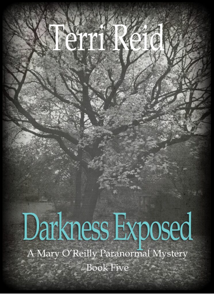 Book Cover: Darkness Exposed - A Mary O'Reilly Paranormal Mystery (Book 5)