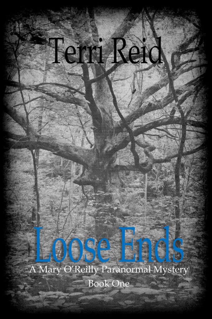 Book Cover: Loose Ends - A Mary O'Reilly Paranormal Mystery (Book 1)