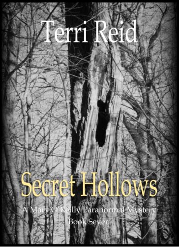 Book Cover: Secret Hollows - A Mary O'Reilly Paranormal Mystery (Book 7)