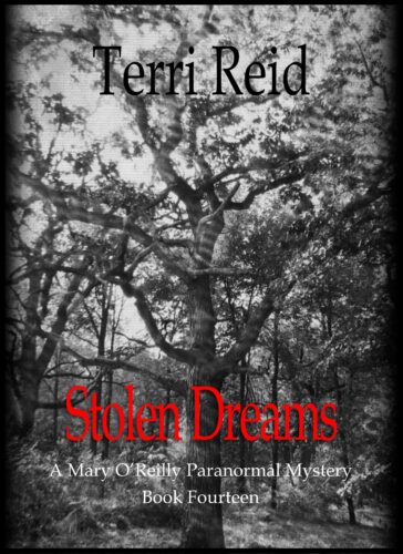 Book Cover: Stolen Dreams - A Mary O'Reilly Paranormal Mystery (Book 14)