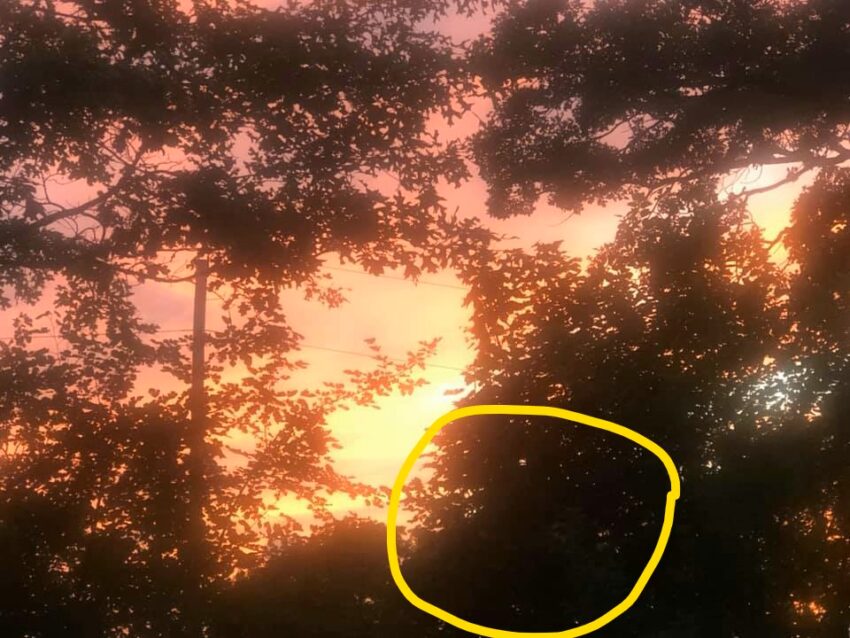 photo of sunset with a ghost in the forefront